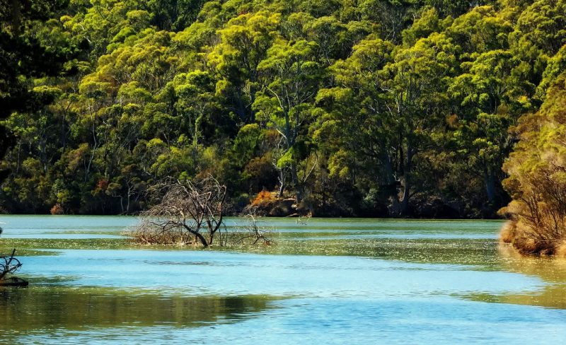 tasmania-353653_1280